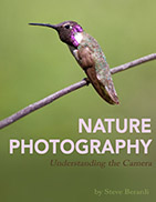 Nature Photography by Steve Berardi